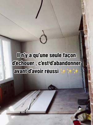 A post by @emmandkarl on TikTok caption: Un projet qui nous tiens a coeur ✨🍀🏠#viral #pourtoi #Home #renovation #couple 