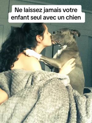 A post by @recit.actu on TikTok caption: Ne laissez jamais votre enfant seul avec un chien. #chien #enfant #animaux 