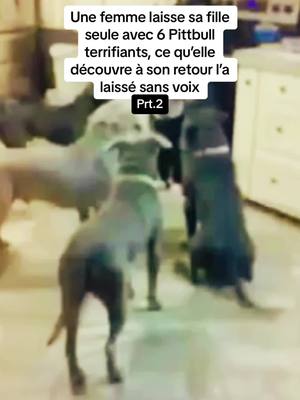 A post by @recit.actu on TikTok caption: Prt.2 | Une femme laisse sa fille seule avec 6 Pittbull terrifiants, ce qu’elle découvre à son retour l’a laissé sans voix. #chien #enfant 