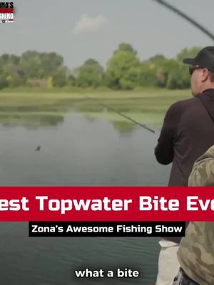 A post by @markzonafishing on TikTok caption: Best Topwater Bite Ever!  #topwater #bassfishing  @Strike King Lure Company @Lew's Fishing @thmarineteam @ramtrucks @Power-Pole @bassproshops @Fish Seaguar @BoatUS @Mercury Marine#zafs @AFTCO @Humminbird @MinnKotaMotors @EagleClawFishing 