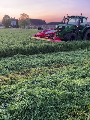 A post by @patrick_swiss_06 on TikTok caption: ☘️🥳🤙🏼 #johndeere #swissfarmer🇨🇭🇨🇭 #ersterschnitt 