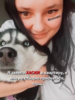 A post by @huskyandaussie on TikTok caption: Завела хася в квартиру и счастлива 🤪❤️ 