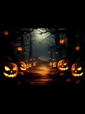 A post by @deeandramargarett on TikTok caption: 185 days till Halloween!🎃🎃👻 ☺️ #halloween #spookyseason #foryoupage #foryou #pumkinpatch #pumkinspice 