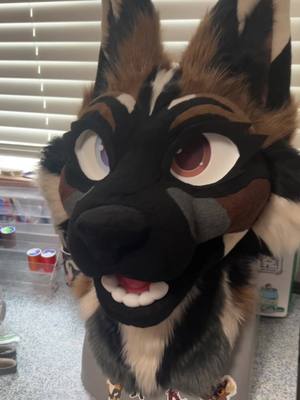 A post by @kahani_creations on TikTok caption: Commission for @<3 #fursuitmaker #fursuitmaking #fursuithead #fursuitheadbase #fursuitwip #fursuitcommission #fursuitheadcommission 