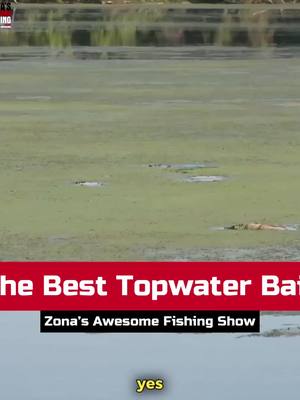 A post by @markzonafishing on TikTok caption: The BEST topwater lure! • #topwater #topwaterfishing #bassfishing  • @Strike King Lure Company @Lew's Fishing @thmarineteam @ramtrucks @Power-Pole @BoatUS @bassproshops @Fish Seaguar @Mercury Marine @AFTCO @Humminbird @MinnKotaMotors 