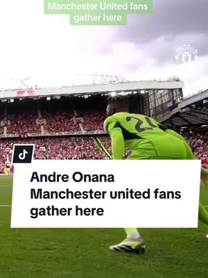 A post by @amboamz2022 on TikTok caption: #CapCut Manchester United fans gather here #onana #andreonana #manchesterunited 