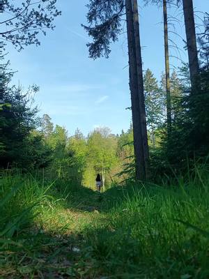 A post by @jxennz on TikTok caption: just wanted an aesthetic hiking video but the impulsive thoughts  won #gidle #superlady #kpop #Hiking 