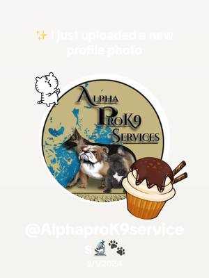 A post by @bulldoglife2709 on TikTok