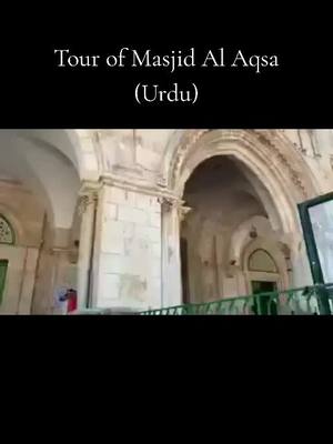 A post by @mumintv2021 on TikTok caption: Masjid Al Aqsa #masjidalaqsa #alaqsa #aqsa #palestine #fypシ゚viral #Urdu #islamic_video #pakistan 