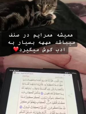 A post by @w_rahimdil on TikTok caption: #صلوا_على_رسول_الله #تاجک__اوزبگ__پشتون__هزاره__ترکمن #foryoupage #fypシ #MuslimTikTok #afghan #islamic_video #fyp #islamic_videof #islam #islamictiktok #foryou 