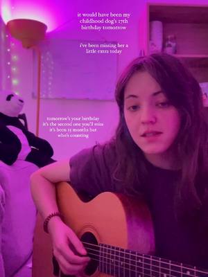 A post by @luluhrvy on TikTok caption: i cried so hard while writing this - give your pets a little extra love for me today please 💜 - - - #newmusic #originalsong #petgrief #singersongwriter #songwriter #songwritersoftiktok #originalmusic #grief 