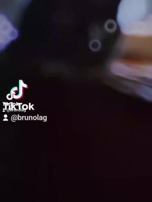 A post by @brunolag on TikTok