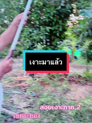 A post by @p_aoy24 on TikTok caption: #ภาคนี้มีน้องเขยมาช่วยสอย 