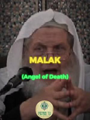 A post by @mumintv2021 on TikTok caption: At the moment of Death #angelofdeath #death #soul #ruh #islamic_video #fypシ゚viral #islamicreminder #Muslim #Kafir #yusufestes 