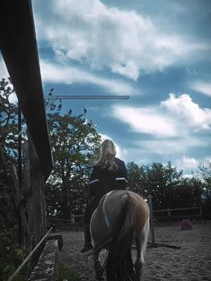 A post by @willedvinn on TikTok caption: I know its not something related about my fanpage and maybe I will delete this but I really love this horse so much, y'all don't understand 🩷 #horse #horseriding #horseedit #horseaesthetic #horses  #Love #aesthetic #fyp #viral #me #pferd 