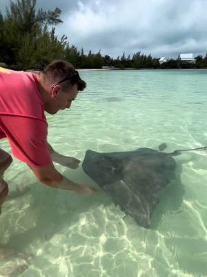 A post by @callumtheridgy on TikTok caption: Good times in the Bahamas 🇧🇸🌴 Green Turtle Cay, a must visit! #greenturtlecay #bahamas #traveling #travel w/ @bella 