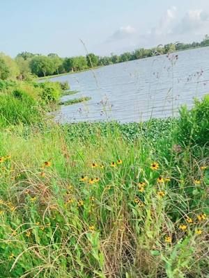 A post by @tadboudreaux on TikTok caption: Boudreaux brother’s farms on a nice day in May!! @Tanner Jude Boudreau 