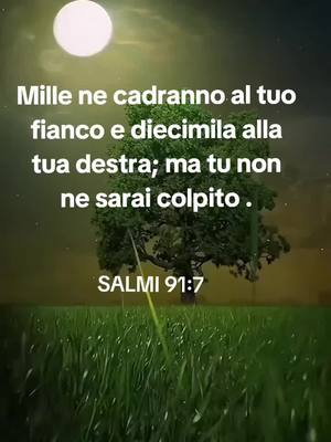 A post by @pasqualeschiavo85 on TikTok caption: #paroladidio #bibbia #gesu #dio #fede #salmi #canticievangelici 