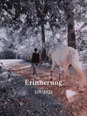 A post by @xxxmellibondxxx on TikTok caption: #erinnerung 