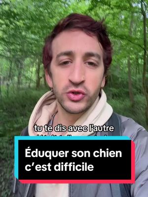 A post by @lecoledelameute on TikTok caption: Avoir un nouveau chien à la maison c’est un peu repartir à la case départ  mais tout ce que tu as appris grâce aux autres chiens qui ont partagé, ta vie reviendra rapidement. Ne t’en fais pas. Il faut juste que tu t’adaptes à ce nouveau loulou et que tu te laisse le temps de réapprendre.   #chien #educationcanine #chiens #educateurcanin 