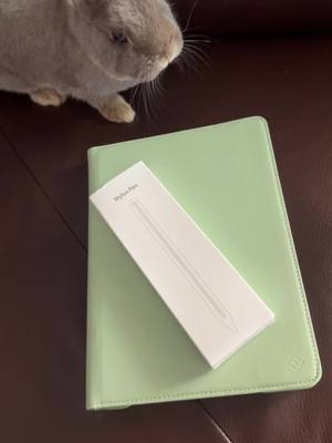 A post by @dwarfrabbitasmr on TikTok caption: Perfect for my ipad! This pen is 50 percent get it while it lasts! #apple #ipad #styluspen 