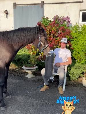 A post by @flodadou4 on TikTok caption: 1 an aujourd’hui ❤️ joueux anniversaire nichigan#pourtoi #fyp #foryou #viral #rider #horse #equestrian #poulan #dream 