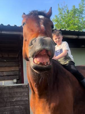 A post by @the_little_horseman on TikTok caption: Both my boys 🥰 #fyp #hearthorse #son 