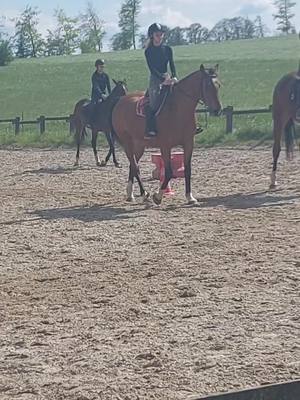 A post by @nina_et_cooper on TikTok caption: Séance de mercredi avec Girly ☺️ #pourtoi #horse #cheval #equestrian #fyp #cavalo #viral 