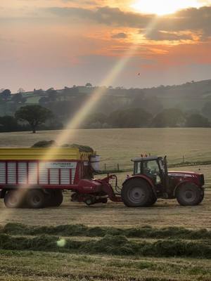 A post by @farm_hub_ on TikTok caption: Silage 24 is in full flow, 4 wagons and a forager 🌱 #silage #grass #sunset #agriculture #agri #Summer #johndeere #country #ag #iphone13pro #shropshire #britishagriculture #agrispec #tractor #claas #rearsteer🥵 