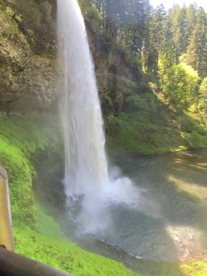 A post by @leninstrong on TikTok caption: This place was soul healing ❤️‍🩹 #FYP #oregoncheck #PNW #silverfallsoregon #Hiking 