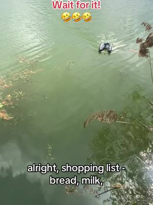 A post by @pukkacarphookers on TikTok caption: #shoppinglist #funny #fyp