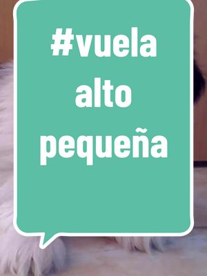 A post by @dulce.temor on TikTok caption: hoy mi pequeña cruzó el arcoiris vuela alto pequeña 