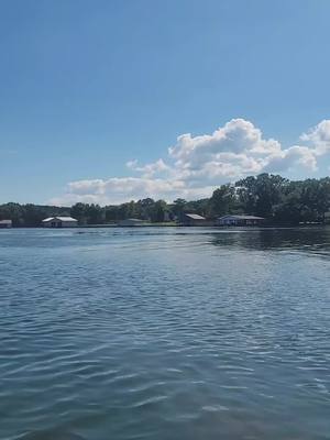 A post by @reginahillis1 on TikTok caption: #kayak #fishing #river #riverrat #alabama #nature #relax #Summer #Love 