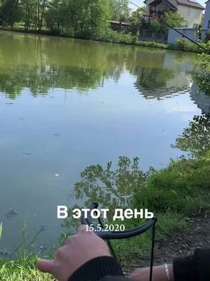 A post by @fish_447 on TikTok caption: #ВэтотДень 