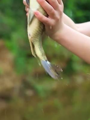 A post by @axford_carnighan on TikTok caption: Catching fish 🐟 with bare hands for a big meal #funny #fish #foryou #tiktok #food 