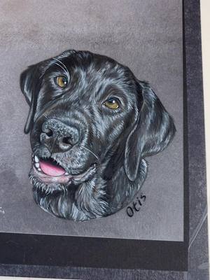 A post by @madelynmoore2 on TikTok caption: Made for a friend❤️ #fyp#foryou#foryoupage#coloredpencil#art#dog#Artwork#artist#arttok 