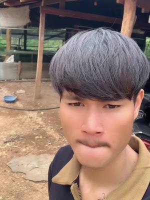 A post by @01102022forever on TikTok caption: #មាន់ខ្មង 