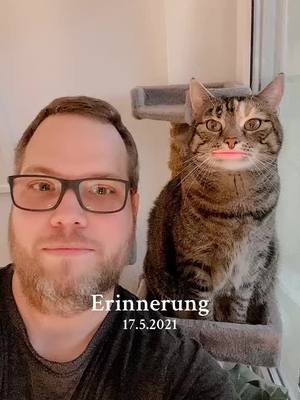 A post by @fabianbeck51 on TikTok caption: #erinnerung 