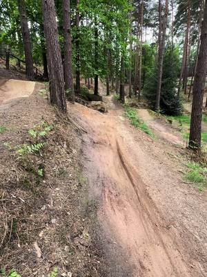 A post by @fred.ingram on TikTok caption: Burn is tuff🔥 #mtb #extremesports #adrenaline #whip #downhill #dh #enduro #dirtjump #fyp #fun #woburnbikepark #mountainbike #shralp #bike #bikelife #trees 