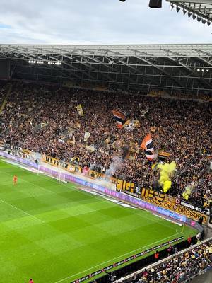 A post by @jens_umbreit on TikTok caption: Liebe kennt keine Liga in Dresden! #sgd1953 #dynamodresden #3liga #pyro #kblock #schwarzgelb 