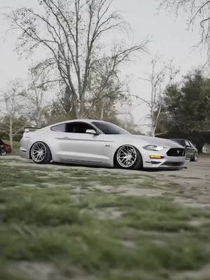 A post by @anoviawheels on TikTok caption: The Anovia Elder - Brought to you by Fitment Industries. 2018 FORD MUSTANG GT PREMIUM ANOVIA ELDER 19X11 +7 DELINTE D7 THUNDER 245/35 #weareanovia #anoviawheels #elder #fitmentindustries #mustang #ford