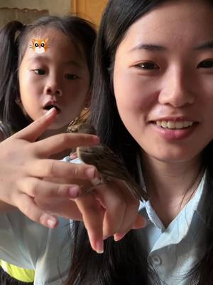 A post by @coconut_houy on TikTok caption: 现在飞走了😄#fyp #chineseteacher #cambodia #bird 