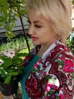 A post by @gylka78 on TikTok caption: #ой девочки🌷🌷🌷#тикток #fun 