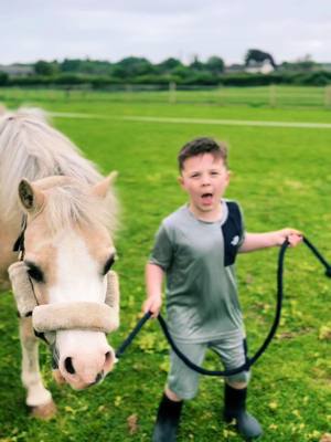 A post by @the_little_horseman on TikTok caption: 🕺 #fyp #pony #wild #dancing #arnieandprince 