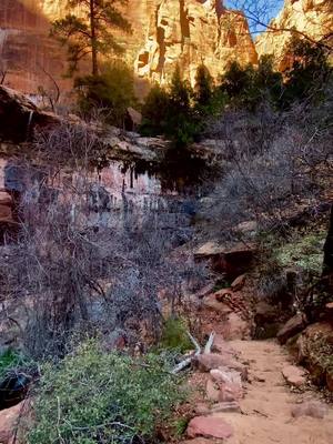 A post by @x_.aly.michelle._x on TikTok caption: Come with me to explore Zion National Park! #zionnationalpark #zion #utah #mountains #Hiking 