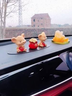 A post by @hong3315 on TikTok caption: Car Goodies#goodhings #foryou #fyp 