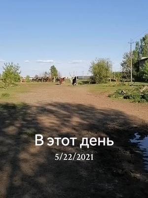 A post by @alenok07 on TikTok caption: #ВэтотДень 