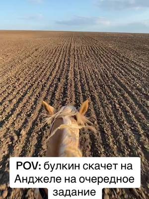 A post by @pipandi on TikTok caption: #булкин 