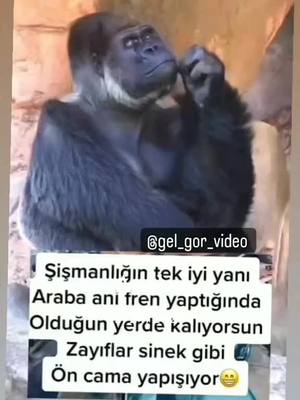 A post by @givircikkk on TikTok caption: #anılar 