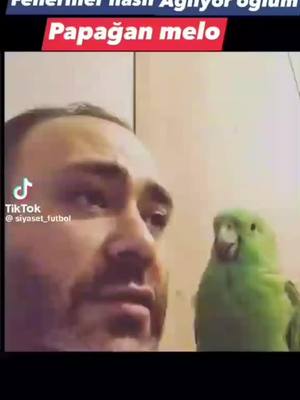 A post by @servet123434 on TikTok